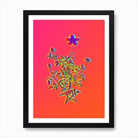 Neon Single Dwarf Chinese Rose Botanical in Hot Pink and Electric Blue n.0573 Art Print