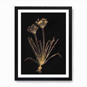 Vintage Allium Straitum Botanical in Gold on Black n.0324 Art Print