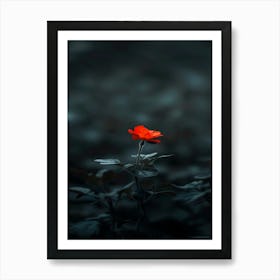 Dark Rose 177 Art Print