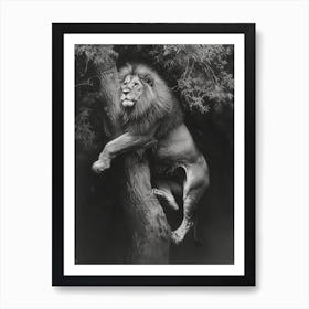 Barbary Lion Charcoal Drawing Panthera Leo Leo Climbing A Tree 4 Art Print