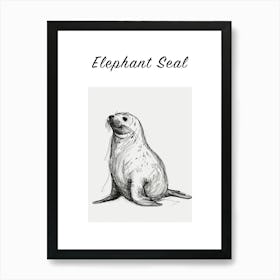 B&W Elephant Seal Poster Art Print