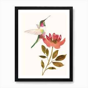 Hummingbird On A Flower Art Print