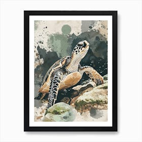 Sea Turtle Illustrations