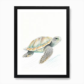 Flatback Sea Turtle (Natator Depressus), Sea Turtle Pencil Illustration 1 Art Print