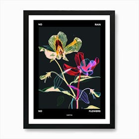 No Rain No Flowers Poster Sweet Pea 1 Art Print