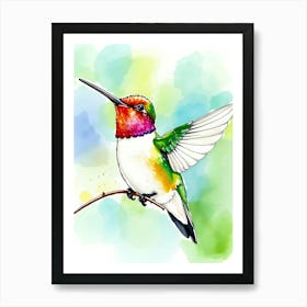 Watercolor Hummingbird 1 Art Print