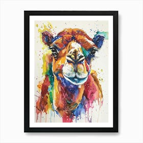 Camel Colourful Watercolour 3 Art Print