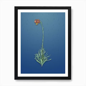 Vintage Scarlet Martagon Lily Botanical on Bahama Blue Pattern Art Print