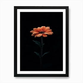 Gerbera Daisy 23 Art Print