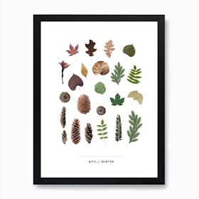 Bits Of Winter Art Print