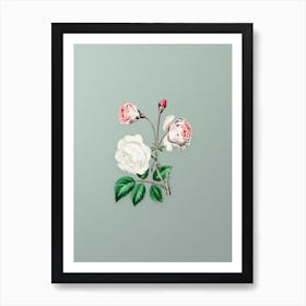 Vintage Ruga Rose Flower Botanical Art on Mint Green n.0198 Art Print
