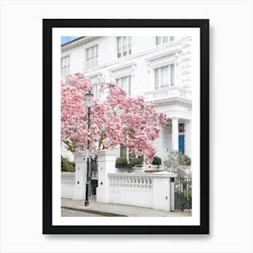 London Magnolia Art Print