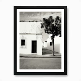 Jerez De La Frontera, Spain, Black And White Analogue Photography 4 Art Print