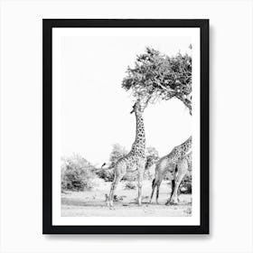 Kenya Trees Art Print