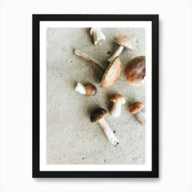 Mushrooms On Concrete Art Print