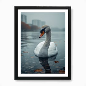 Swan In The Park Art Print
