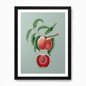 Vintage Carrot Peach Botanical Art on Mint Green n.0795 Art Print