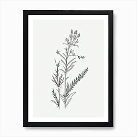 Eyebright Herb William Morris Inspired Line Drawing 1 Art Print