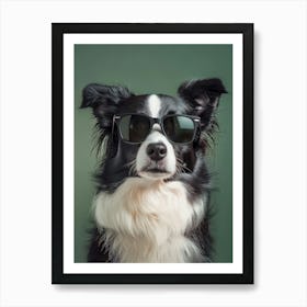 Border Collie Dog In Sunglasses Art Print