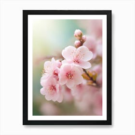 Cherry Blossoms 43 Art Print