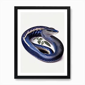 Indigo Snake Vintage Art Print