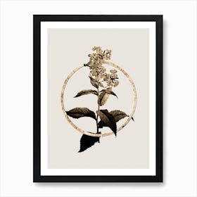 Gold Ring White Gillyflower Bloom Glitter Botanical Illustration n.0317 Art Print