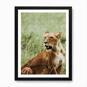 Tanzania Iv Art Print