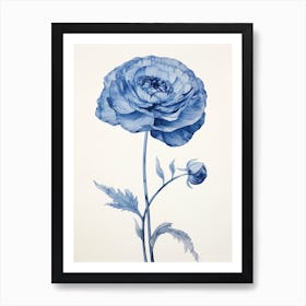 Blue Botanical Ranunculus 2 Art Print