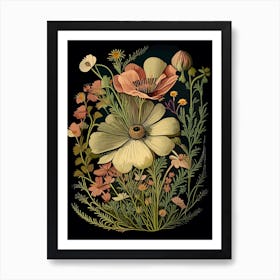 Cosmos Wildflower Vintage Botanical 1 Art Print