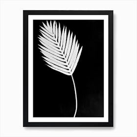 Black white palm leaf Art Print