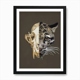 Clouded Leopard Skull Art Print