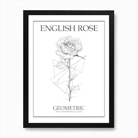 English Rose Geometric Line Drawing 4 Poster Art Print