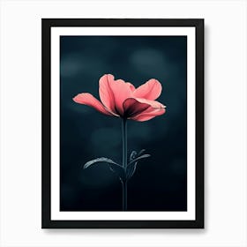 Pink Flower 4 Art Print