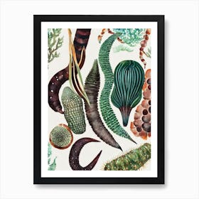 Sea Cucumber Vintage Graphic Watercolour Art Print