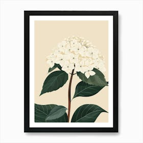 Hydrangea 8 Art Print