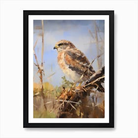 Bird Painting Eurasian Sparrowhawk 2 Art Print