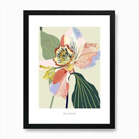 Colourful Flower Illustration Poster Hellebore 4 Art Print