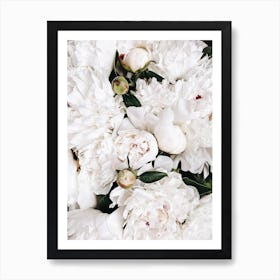 White Peonies Art Print