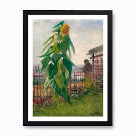 Allotment With Sunflower, Van Gogh Art Print