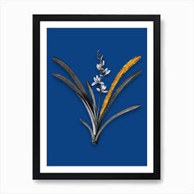Vintage Boat Orchid Black and White Gold Leaf Floral Art on Midnight Blue n.0573 Art Print