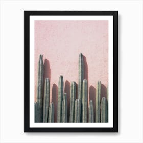 Blushing Cactus Art Print