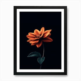 Orange Flower Art Print