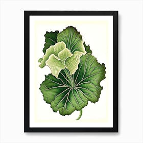 Primrose Leaf Vintage Botanical 3 Art Print