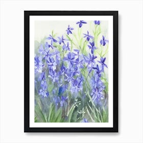 Mountain Bluebells Wildflower Watercolour 1 Art Print