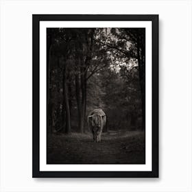 Highland Cow In The Woods | Moody | Black and white | The Netherlands Art Print