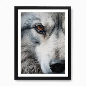 Himalayan Wolf Eye 4 Art Print
