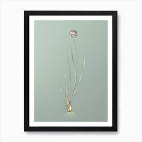 Vintage Allium Foliosum Botanical Art on Mint Green n.0759 Art Print