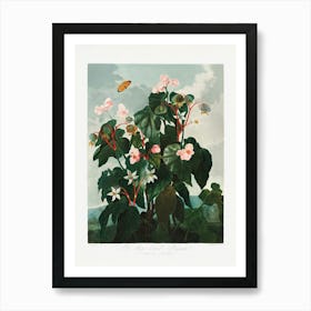 Vintage Botanical Temple Of Flora _2476838 Art Print