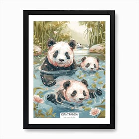 Giant Panda Family Swimming In A River Poster 2 Art Print