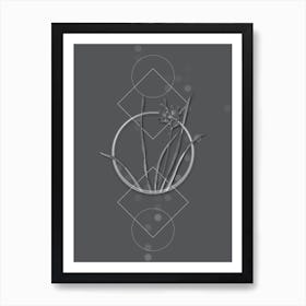 Vintage Gladiolus Lineatus Botanical with Line Motif and Dot Pattern in Ghost Gray n.0019 Art Print